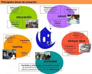Principales lineas de actuacion