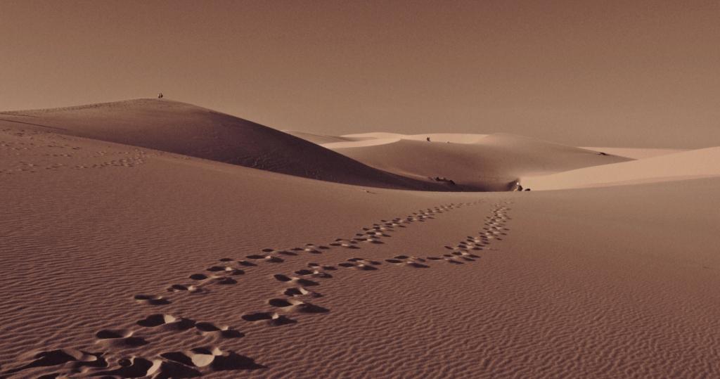 16_white_dunes